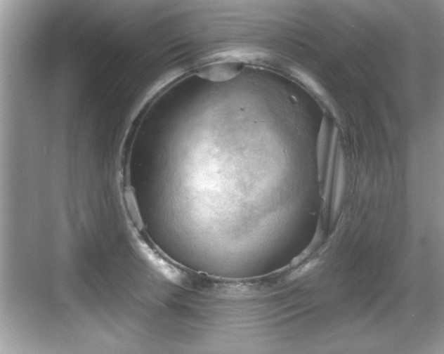 X0000068851042200605121404