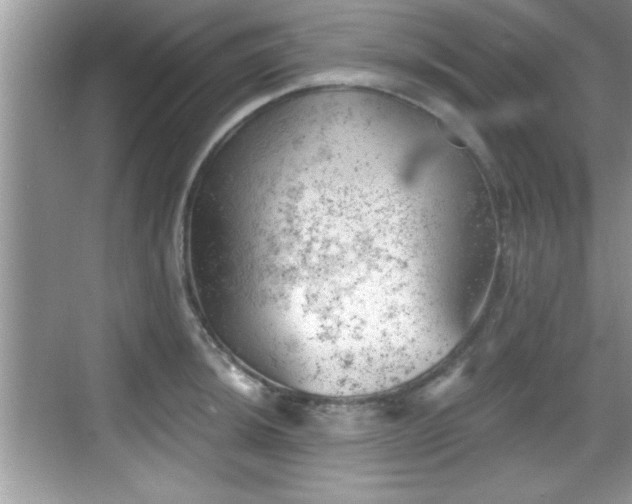 X0000068851044200605121404