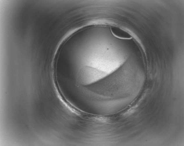 X0000068851045200605121404