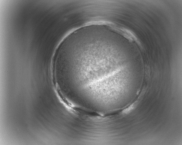 X0000068851046200605121404