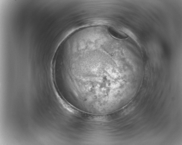 X0000068851047200605121404