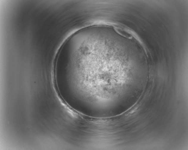 X0000068851048200605121404