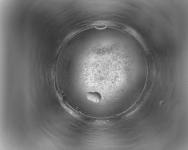 X0000068851049200605121404