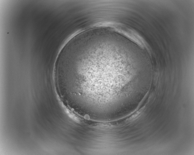 X0000068851050200605121404