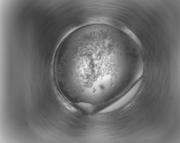 X0000068851052200605121404