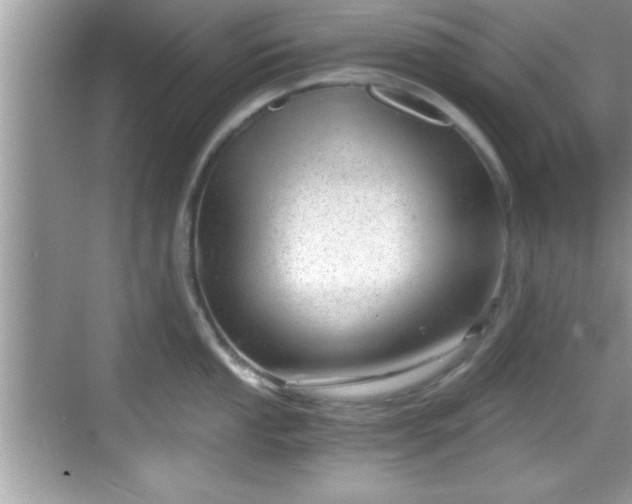 X0000068851053200605121404