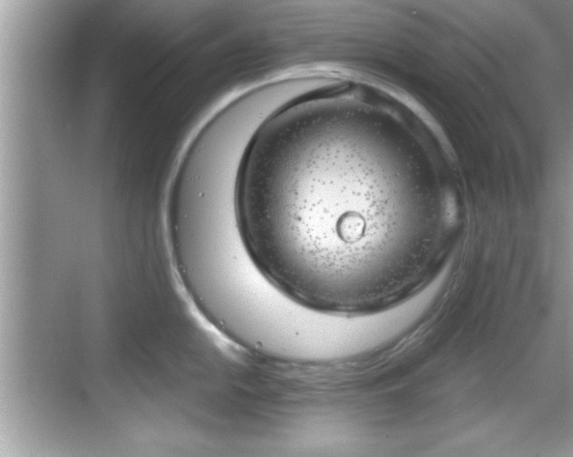 X0000068851054200605121404