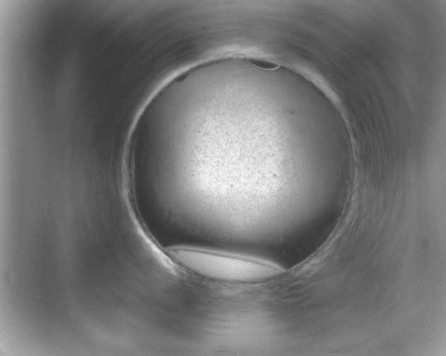 X0000068851056200605121404