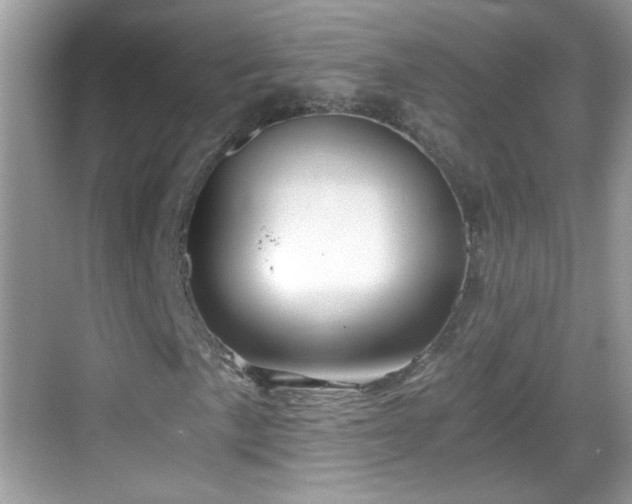 X0000068851057200605121403