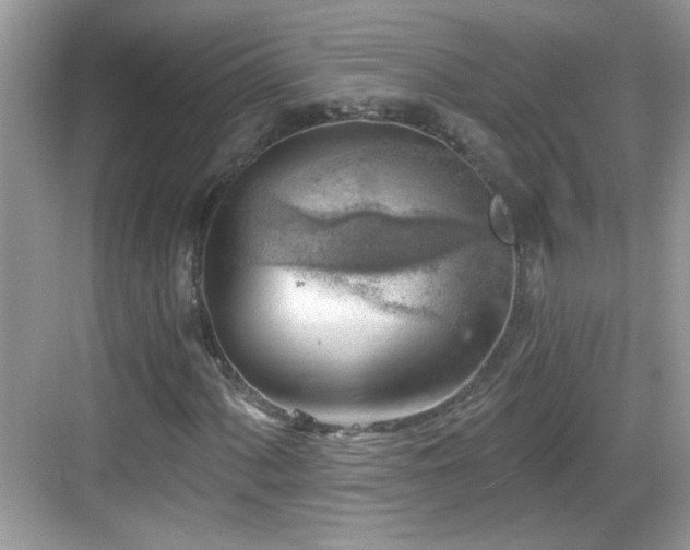 X0000068851060200605121403