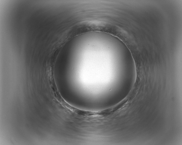 X0000068851061200605121403