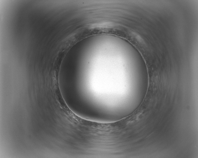 X0000068851062200605121403