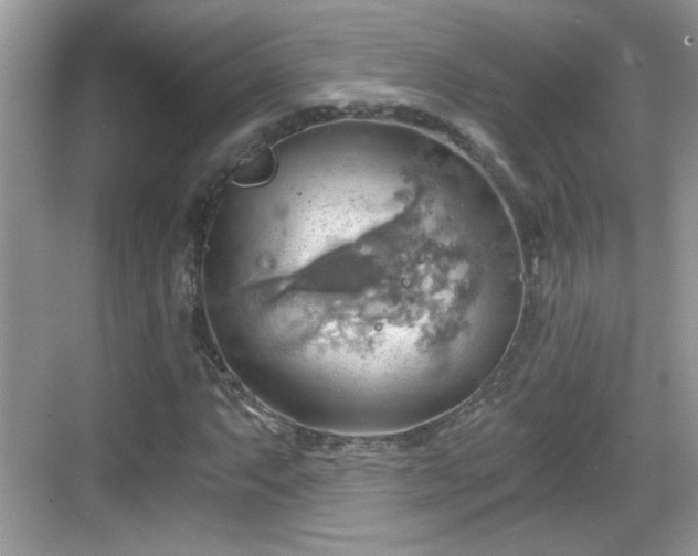 X0000068851063200605121403