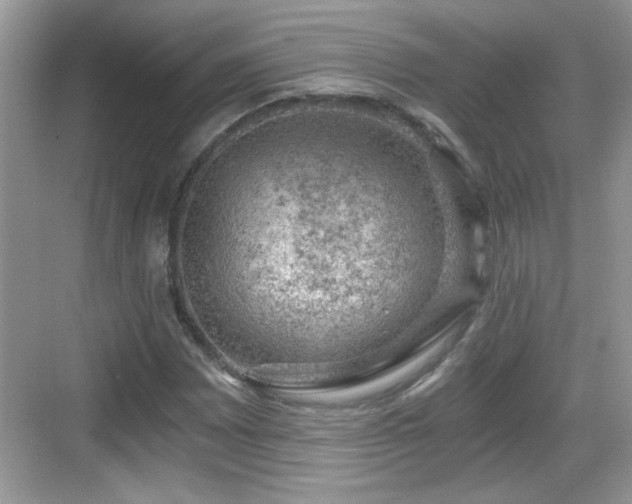 X0000068851065200605121403