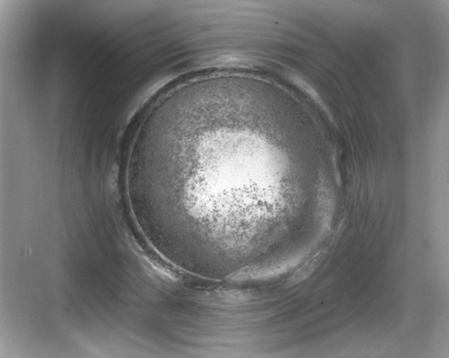 X0000068851066200605121403