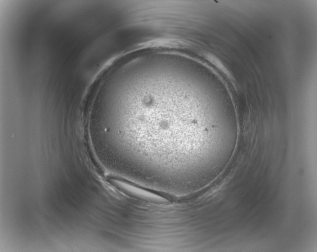 X0000068851067200605121403