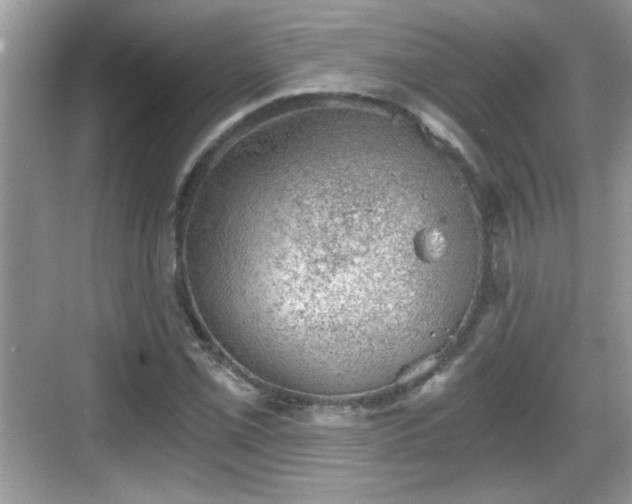 X0000068851069200605121403