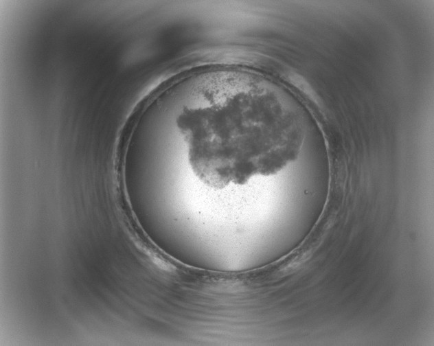 X0000068851071200605121403