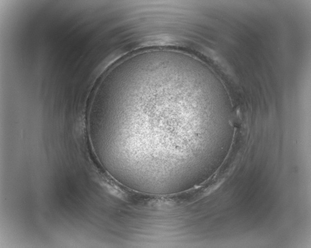 X0000068851073200605121403