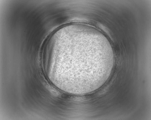 X0000068851074200605121403