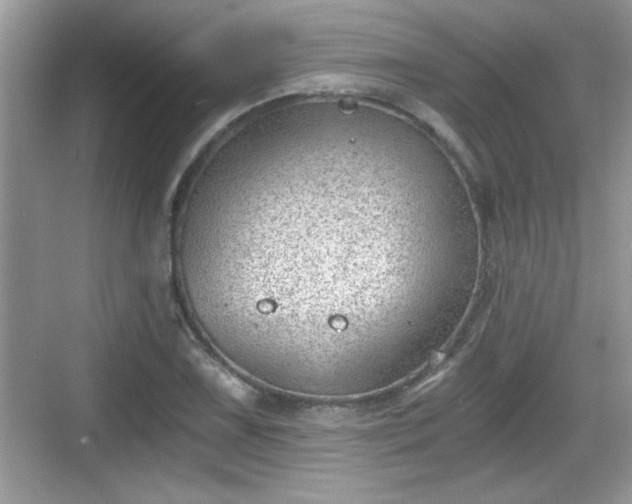 X0000068851075200605121403