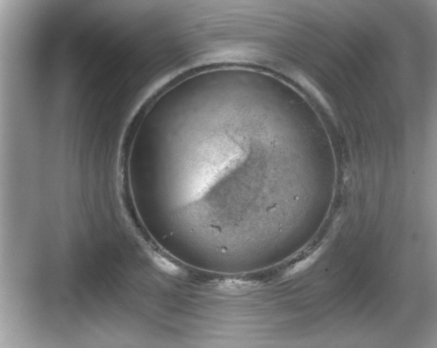 X0000068851077200605121403