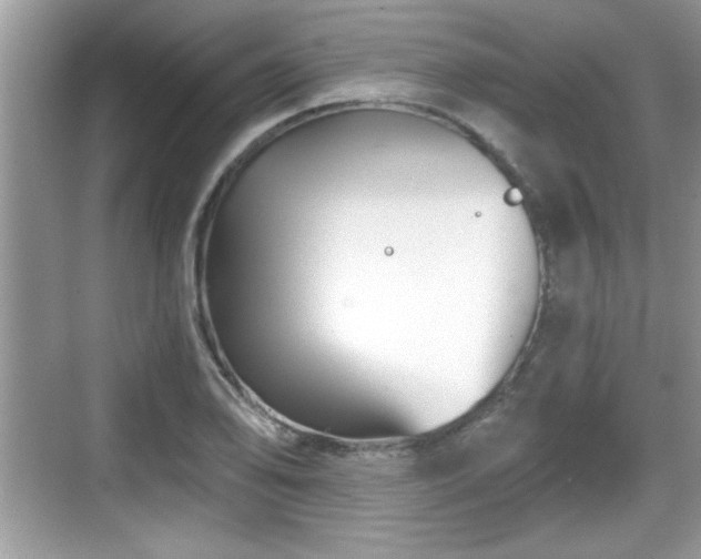 X0000068851078200605121403