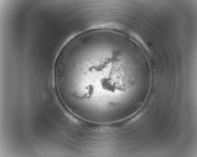 X0000068851079200605121403