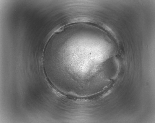 X0000068851081200605121403