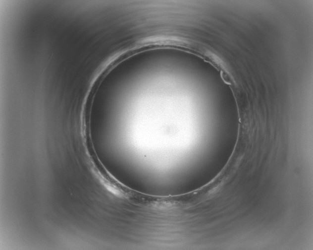 X0000068851082200605121403