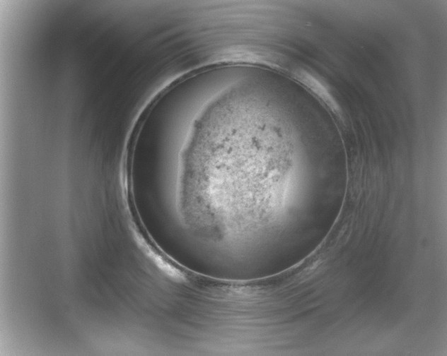 X0000068851084200605121403