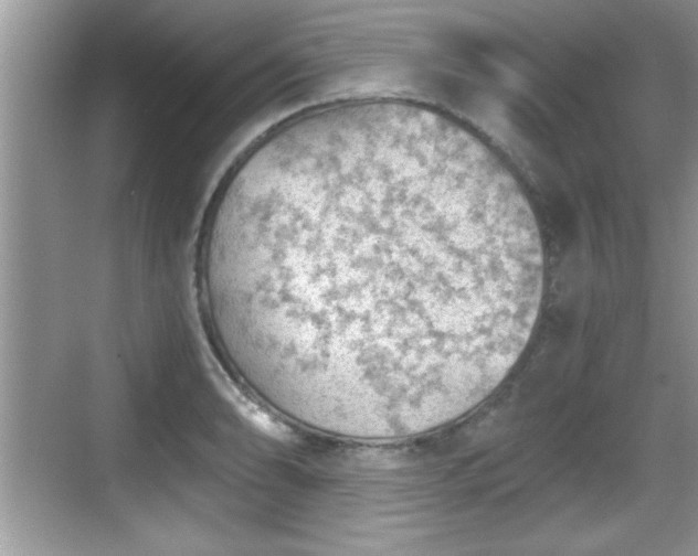 X0000068851086200605121403