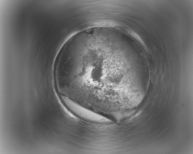 X0000068851087200605121403