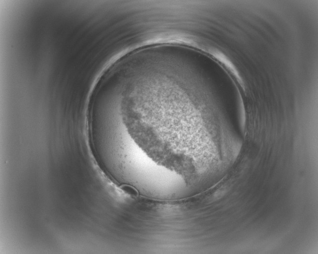 X0000068851088200605121403