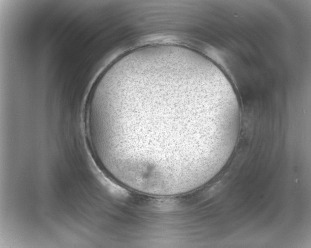 X0000068851090200605121403