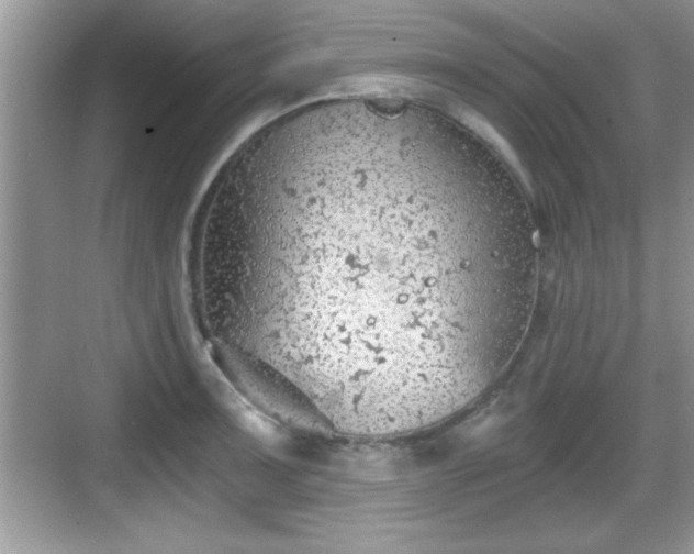 X0000068851091200605121403