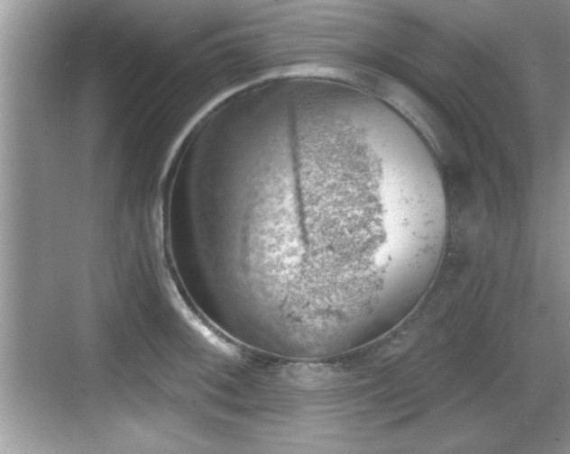 X0000068851092200605121403