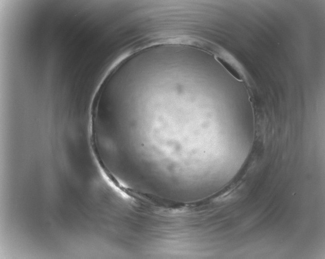 X0000068851095200605121403