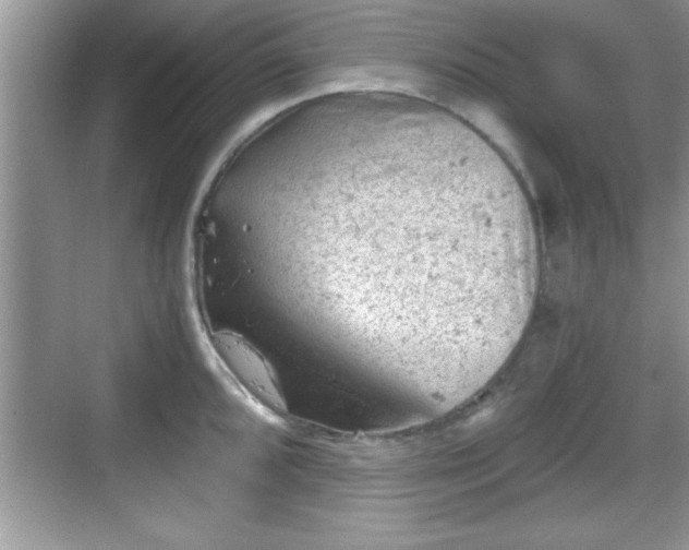 X0000068851096200605121403