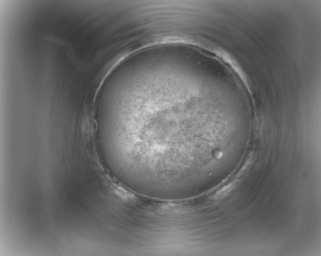 X0000068851097200605121403