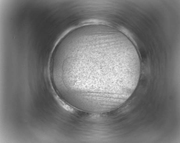 X0000068851098200605121403