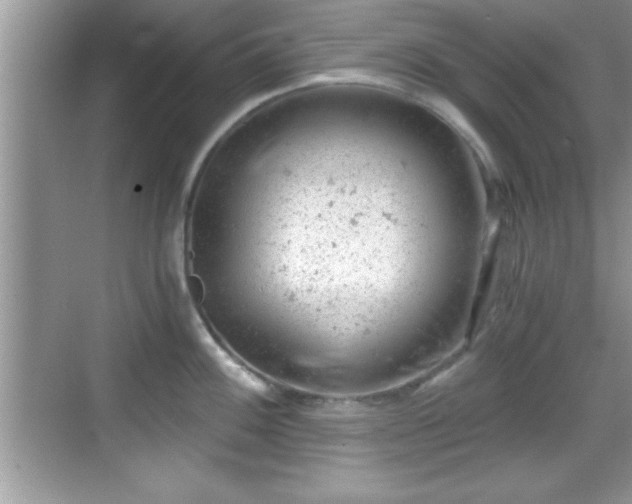 X0000068851100200605121403