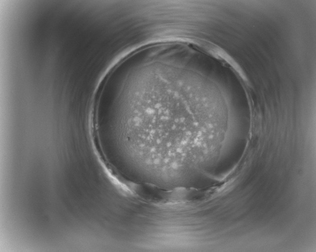 X0000068851101200605121403