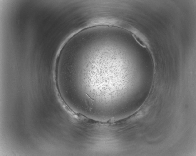 X0000068851104200605121403