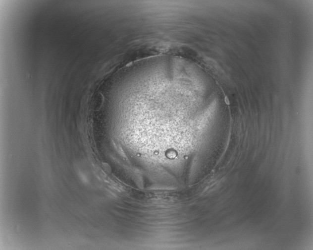 X0000068851105200605121402