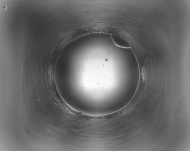 X0000068851107200605121402