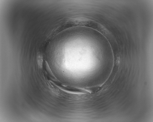 X0000068851108200605121402