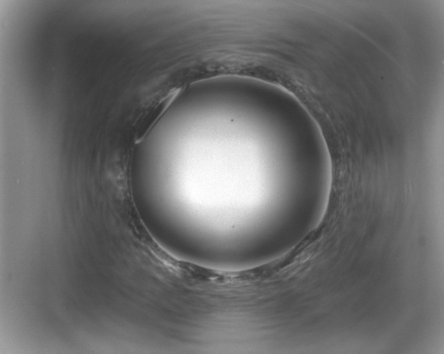 X0000068851109200605121402