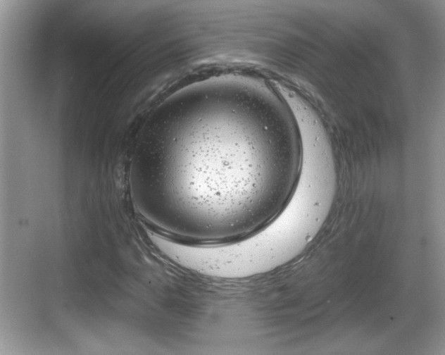 X0000068851110200605121402