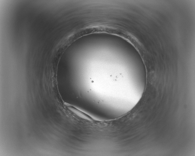 X0000068851111200605121402